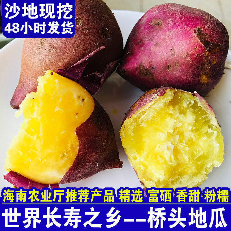 海南桥头富硒澄迈新鲜10斤包邮地瓜 绿企水果番薯