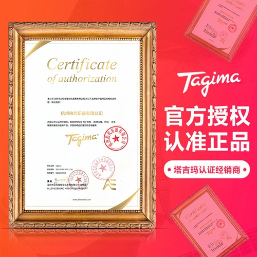 Тагима Таджима Профессиональная электрогитара Взрослые дети TG530 Вход для начинающих