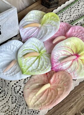 红掌仿真绿植火鹤掌观音莲仿真花卉田园摆设计假花叶子植物装饰