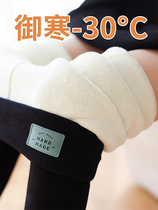 Lamb suede beating underpants woman autumn winter outside wearing high waist collecting abdominal special thick warm cotton trousers thickened with velvety cold and warm and warm trousers