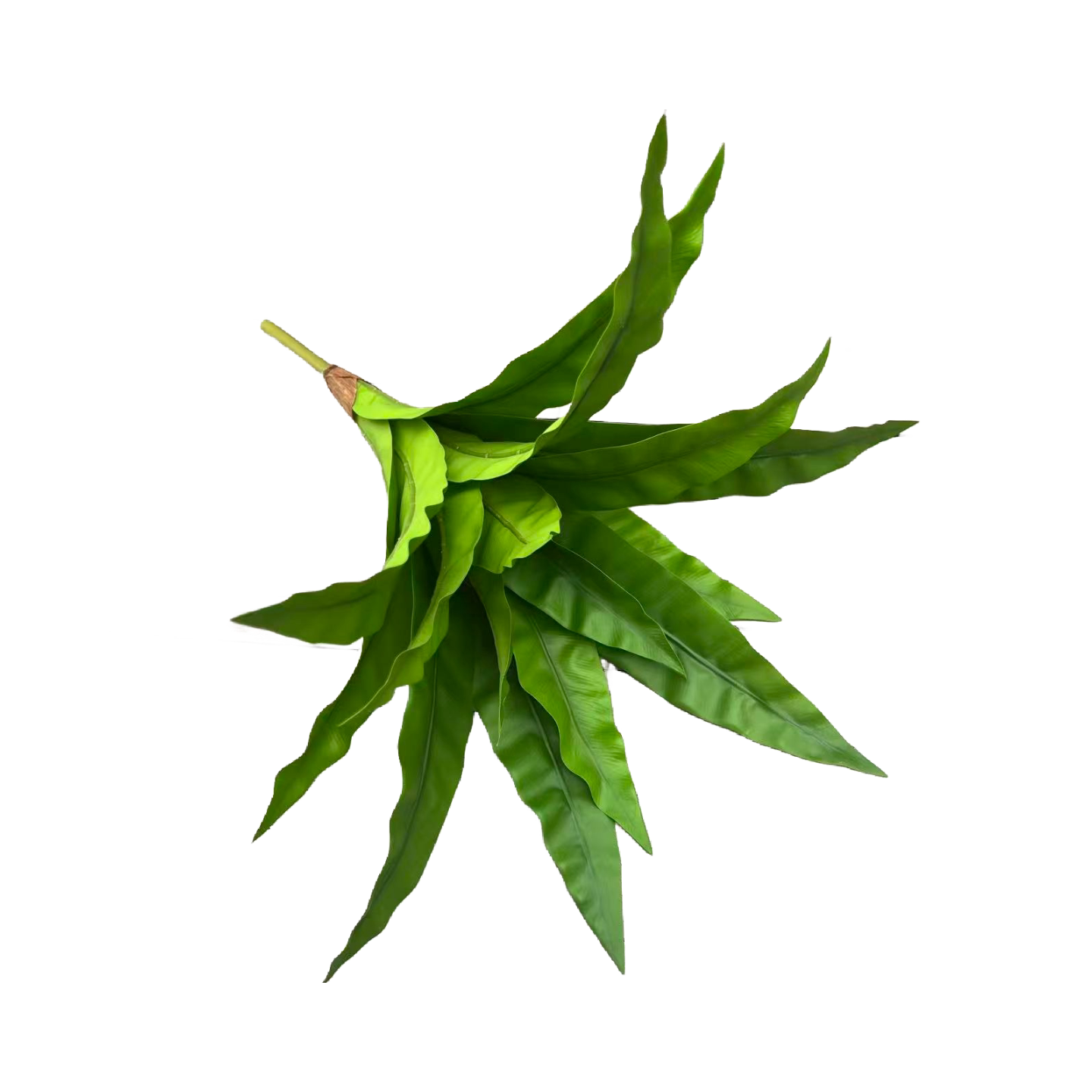 图5