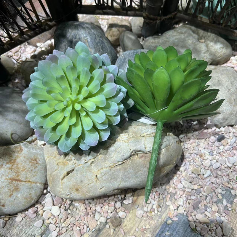 仿真多肉植物造景搭配装饰假软胶多肉石莲佛手莲松果百日菊红绿色-图2