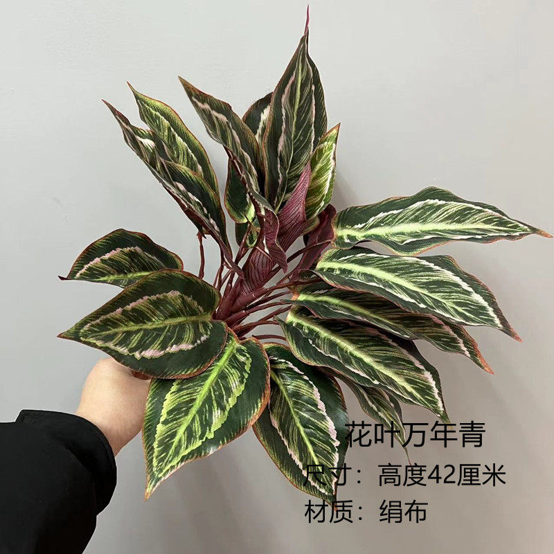 把束大叶片仿真绿植地面造景装饰搭配万年青 斑马叶 海芋叶春雨叶,淘宝优惠券,粉丝福利购,淘宝优惠卷