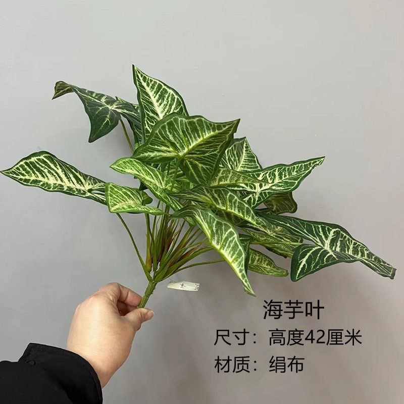 把束大叶片仿真绿植地面造景装饰搭配万年青 斑马叶 海芋叶春雨叶,淘宝优惠券,粉丝福利购,淘宝优惠卷