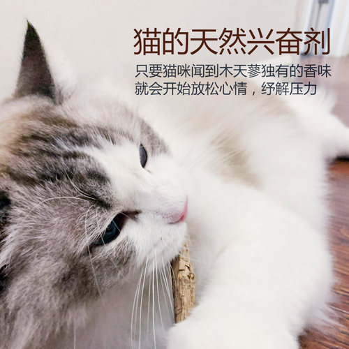 田田猫木天蓼猫零食猫磨牙棒猫薄荷猫草虫瘿果猫玩具猫咪用品耐咬-图1