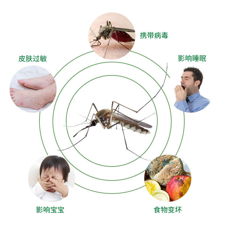 超威杀虫剂喷雾家用室内蚊子曱甴蟑螂药灭害灵小飞虫无味强气雾剂 - 图2