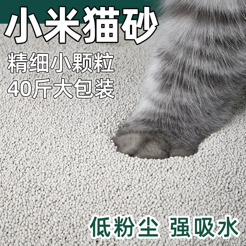 Крупная глинистая кошачья наполнитель Bingo bentonite 10 кг с антипригарным дном из millet кошачий наполнитель 40 кг мелкий песок с ароматом воды впитывающий запахи связывающийся без доставки