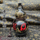 Taoist furnishings, hand-carved gourds, natural lacquer gourds, hand-carved Five Mountains God of Wealth wine gourds