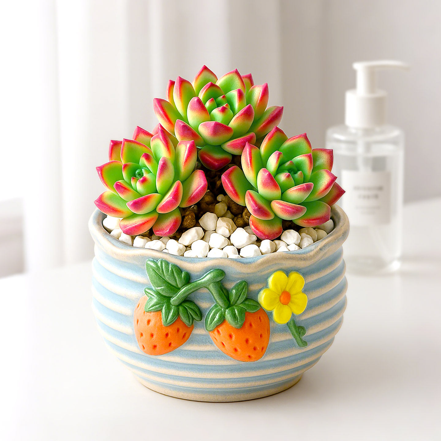 多肉小盆栽仙人球绿植带盆办公室桌面室内植物名贵仙人掌幼儿园礼,淘宝优惠券,粉丝福利购,淘宝优惠卷