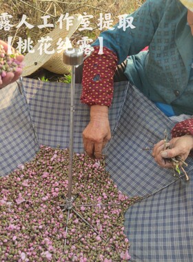 桃花纯露CLR/采露人提亮肤色