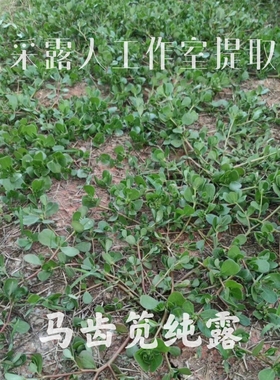人马纯露CLR/采露人修复