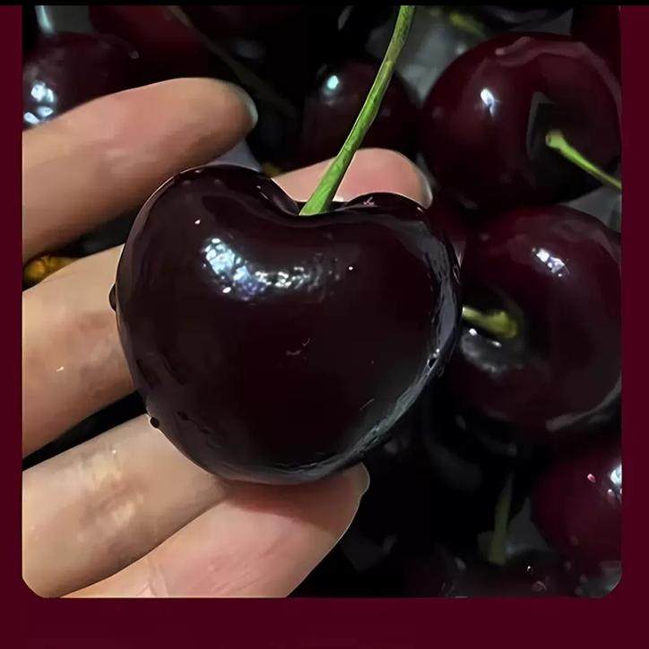 美国车厘子樱桃新鲜水果大樱桃当季现摘现发顺丰包邮,淘宝优惠券,粉丝福利购,淘宝优惠卷