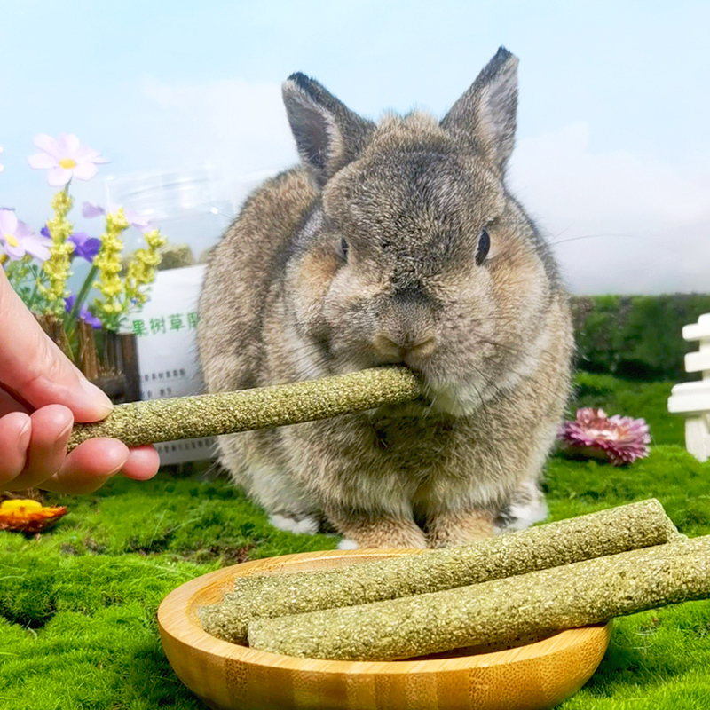 包邮磨牙牧草棍龙猫荷兰猪兔子天竺鼠磨牙棒提摩西果树苜蓿草棒-图1