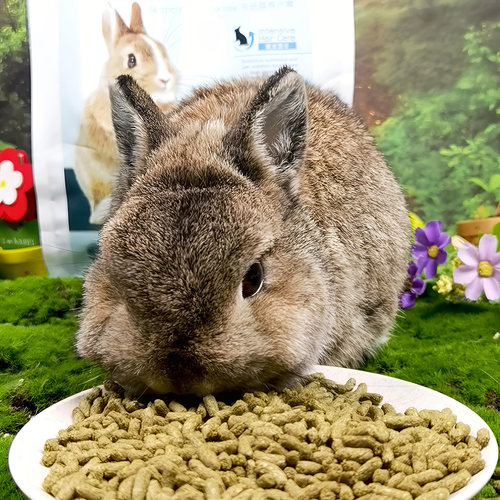 兔博士兔粮3.6kg兔子饲料美毛成兔粮食垂耳兔宠物兔侏儒兔专用粮 - 图0