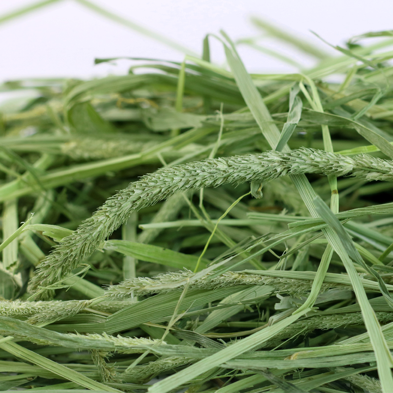 烘干提摩西草兔子草粮提草500g豚鼠荷兰猪饲料牧草龙猫粮干草垫料 - 图2