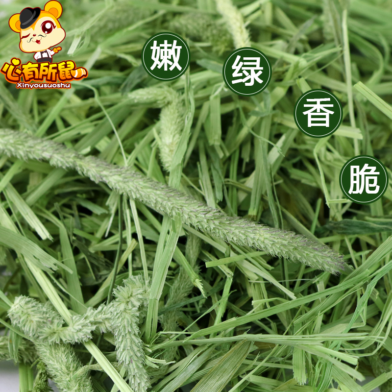 烘干提摩西草兔子草粮提草500g豚鼠荷兰猪饲料牧草龙猫粮干草垫料 - 图1