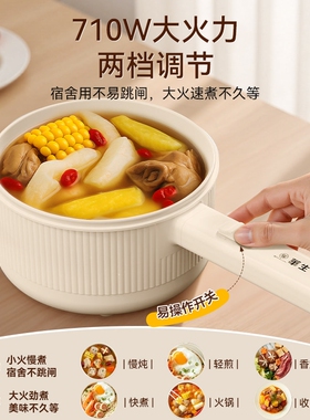 华生电煮锅小型多功能一体小电锅