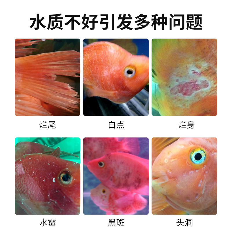 血鹦鹉鱼水质护理调理剂红鹦鹉头洞鹦鹉白点非疾水族病治疗的鱼药-图2