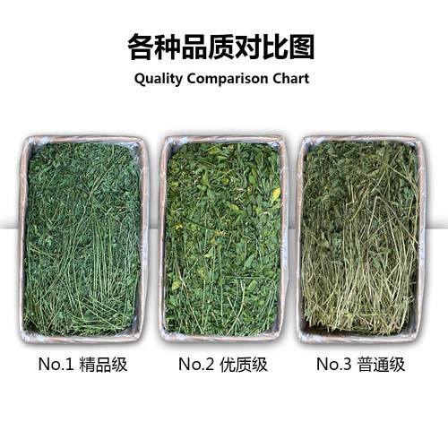 新2025年烘干优质紫花苜蓿草毛重1000克幼年兔荷兰猪龙猫豚鼠牧草 - 图1