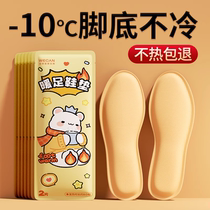 Vicon Fever Insole Female Heating Footbed Self Heating Sole Warm Foot Male Warm Foot Post Winter Warm Foot Sticker 1641