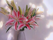 Yunnan Lily Flower Base Straight Hair Sunflower Rose Bouquet Flowers Co-City Courier