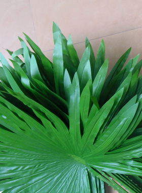 仿真植物扇葵叶棕树叶叶子