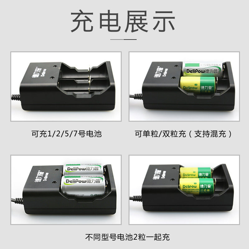 德力普2号充电电池大容量套装手电收音机燃气灶热水器C型充电器