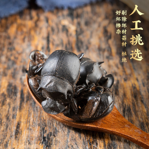 大将军中药材新货无盐蜣螂虫推粪球正品 - 图1