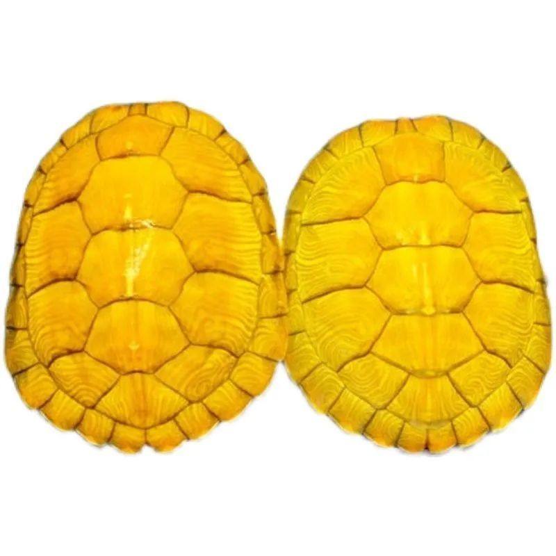 黄金巴西龟活体宠物龟外塘养殖网红小乌龟招财龟情侣龟风水龟水龟,淘宝优惠券,粉丝福利购,淘宝优惠卷