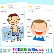 身体部位教具 新人首单立减十元 21年8月 淘宝海外 身体部位教具 新人首单立减十元 21年8月 淘宝海外