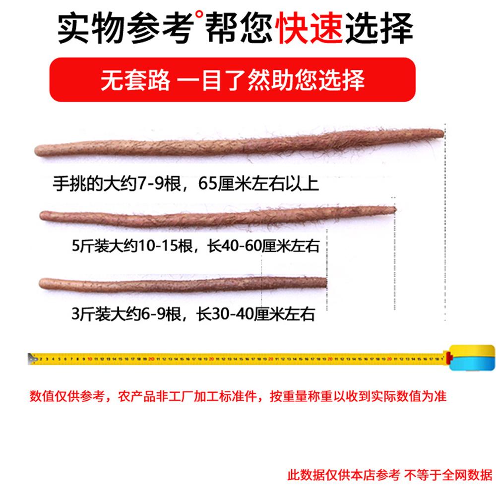 春聚 新鲜怀山河南省焦作温县铁棍山药现挖铁杆淮山约5斤装更粗长 - 图0