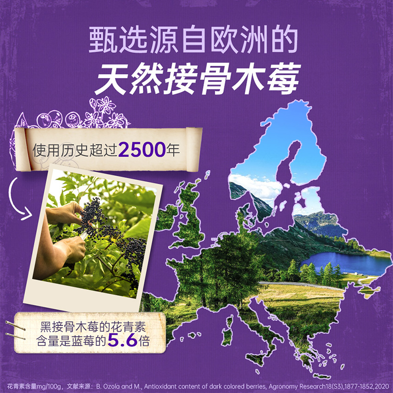 澳洲Sambucol善倍康黑接骨木莓成人多维维生素C免疫力锌软糖2瓶装