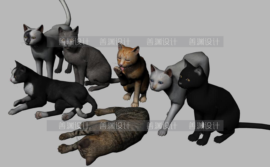 小猫 猫咪 宠物3D模型C4D/Rhino/FBX/OBJ/3dmax/3ds/STL 犀牛模型 - 图1