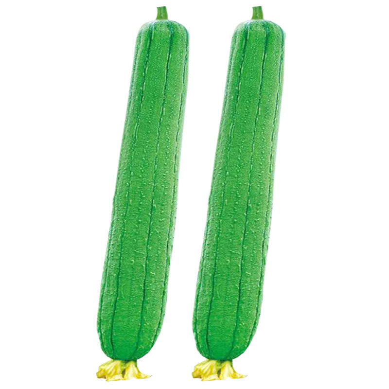 优比1号6号肉丝瓜种子种籽苗秧蔬菜孑水瓜短棒籽种水瓜南方新品种,淘宝优惠券,粉丝福利购,淘宝优惠卷