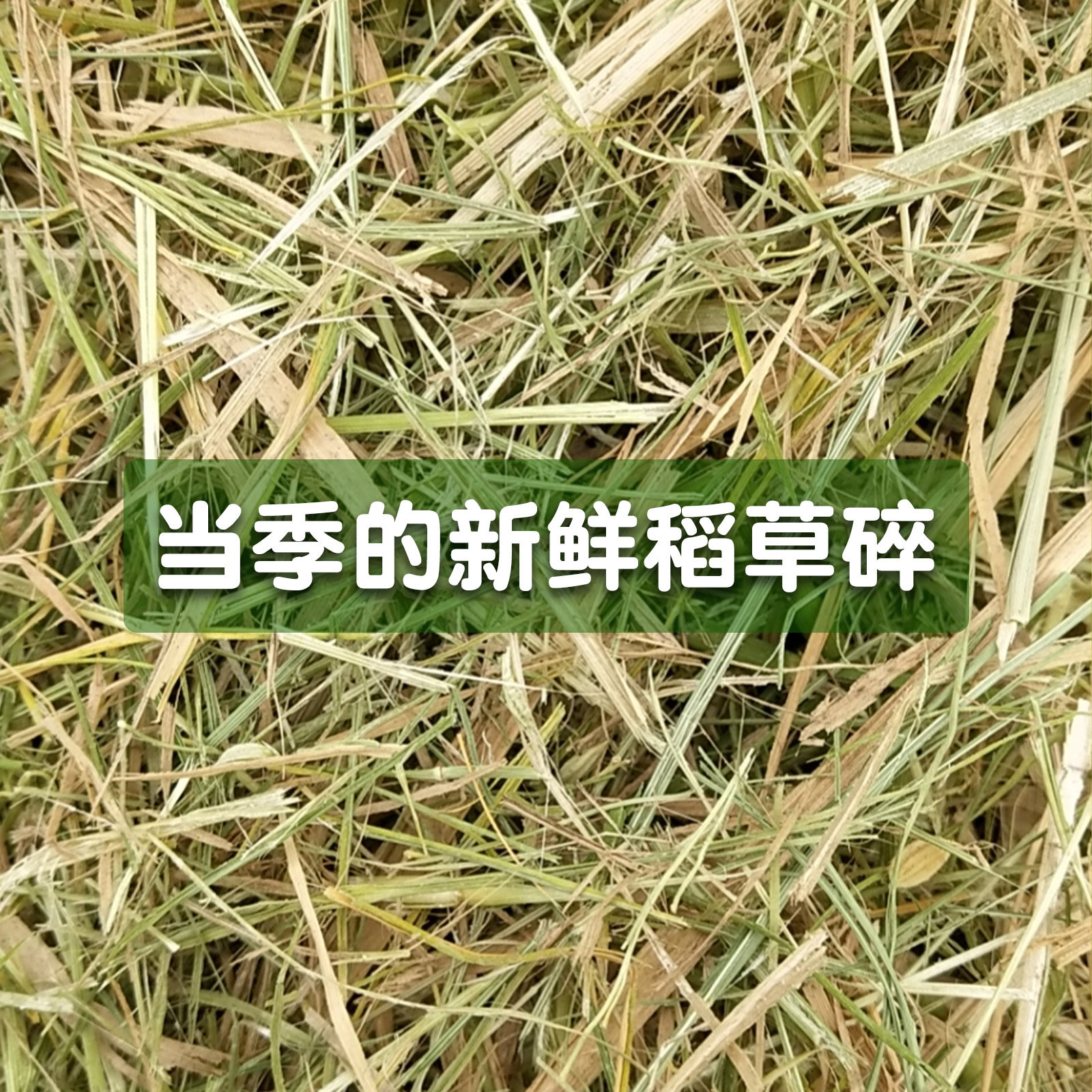 鸟窝草冬季鸽子窝垫材鸡窝稻草保暖鹦鹉冬天保暖窝鹦鹉窝垫料过冬,淘宝优惠券,粉丝福利购,淘宝优惠卷