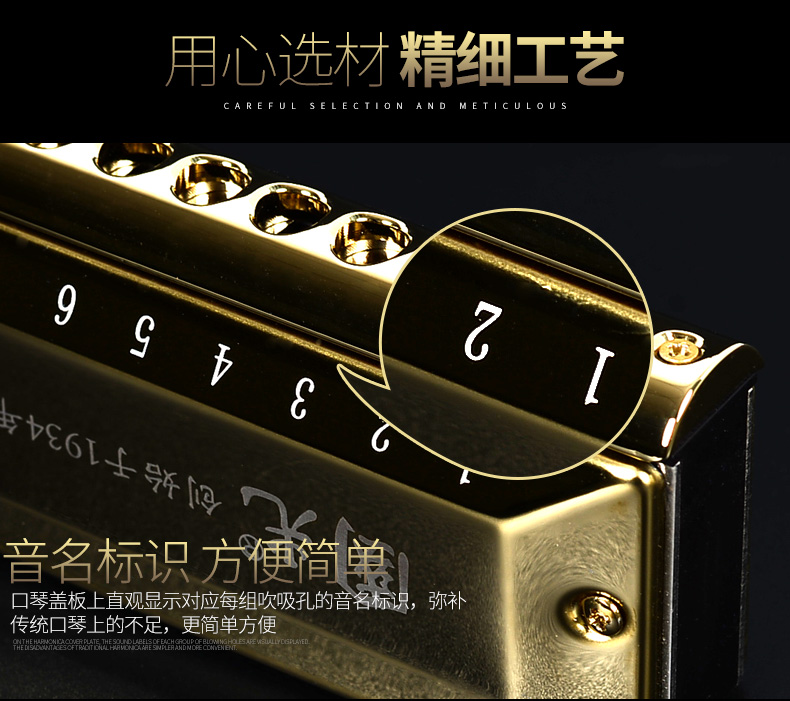 吉悦乐器专营店国光半音阶口琴12孔16孔成人专业演奏级学生初学者自学入门乐器2