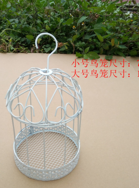 多肉悬挂花盆鸟笼欧式田园风园艺