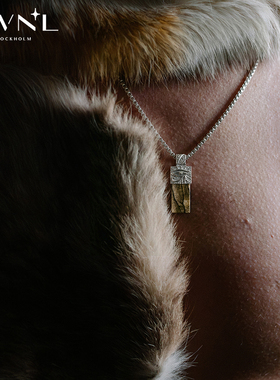 AWNL荷鲁斯之眼男款项链