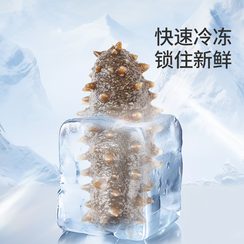 北京同仁堂600g即食海参 正品大连辽参 开袋即食 送礼佳品