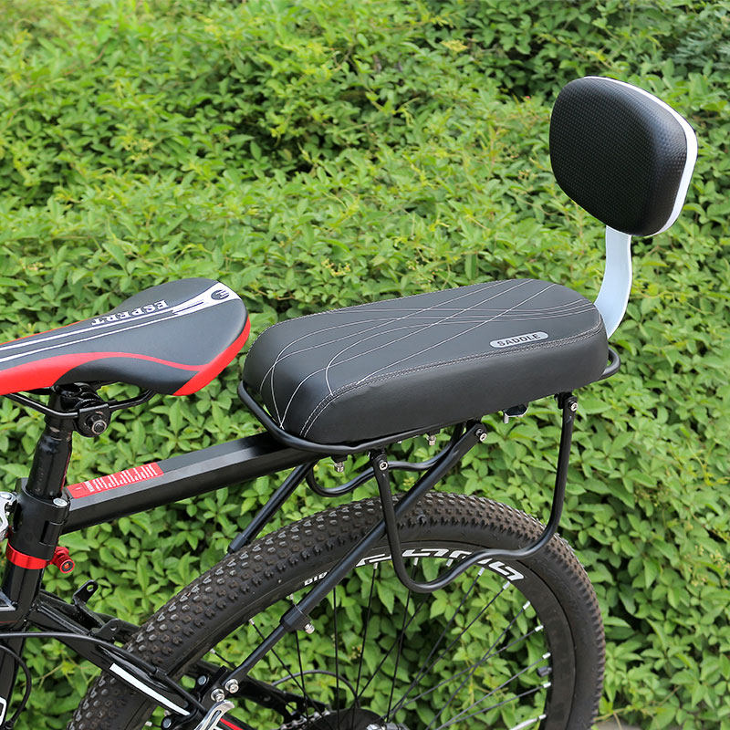 electric bike with back seat