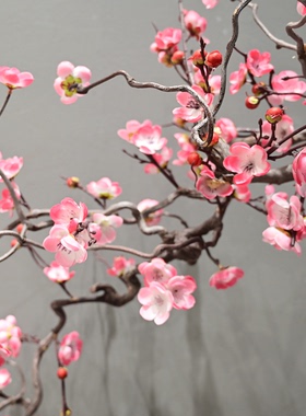 高端会所景观装饰大型悬挂梅花