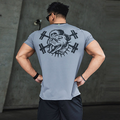 肌肉狗 健身衣男2025新款夏季弹力透气健身短袖t恤薄款运动训练服 - 图0