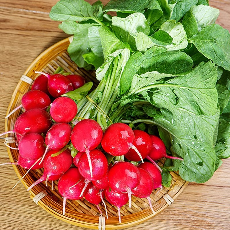 新鲜樱桃萝卜5-9斤迷你小红萝卜水果圆萝卜生吃新鲜蔬菜沙拉食材9 - 图2