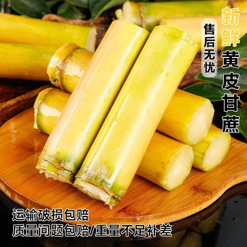 云南黄金甘蔗脆甜黄皮新鲜现砍水果当季非黑皮甘蔗清甜孕妇可吃,淘宝优惠券,粉丝福利购,淘宝优惠卷
