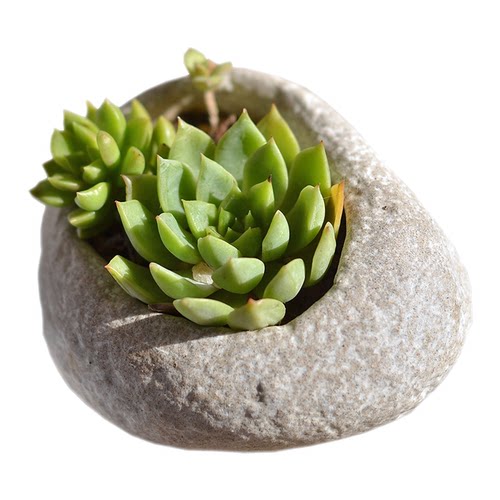 文艺创意仿鹅卵石多肉小花盆不规则桌面组合多肉花盆绿植室内盆栽 - 图3