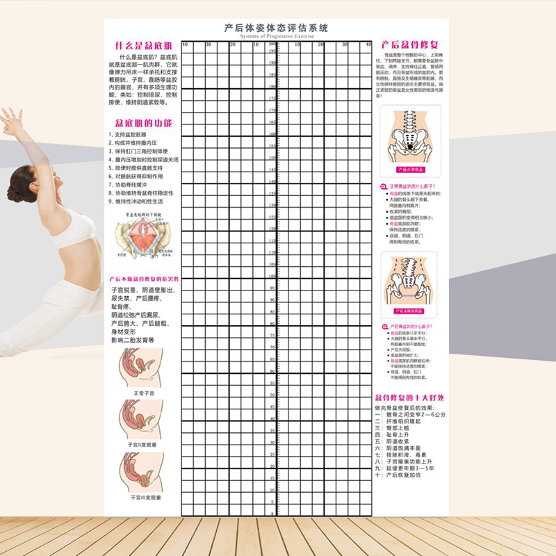 产后体态评估表盆底肌修复图孕妇康复形体矫正体姿图身体体测表 - 图1