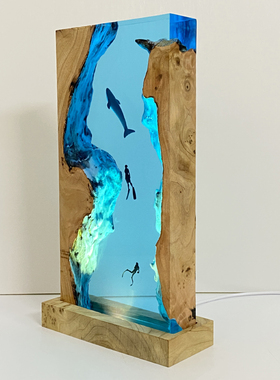 带灯光室内家居装饰树脂观赏现代