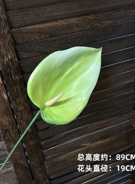 仿真绿植观音莲各种颜色合集婚礼布置商场插画家居花艺装饰仿真花