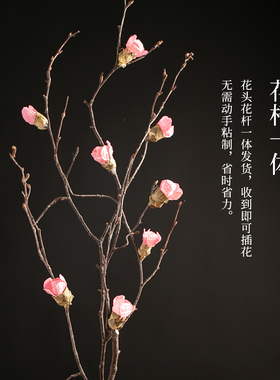 干枝梅花天然客厅摆设高端旺财
