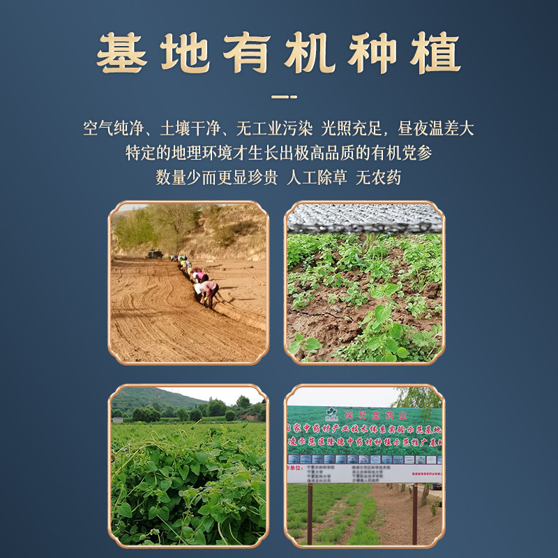 神农葆易圣有机中药材切片党参230g/盒干货泡茶正品煲汤炖料组合,淘宝优惠券,粉丝福利购,淘宝优惠卷